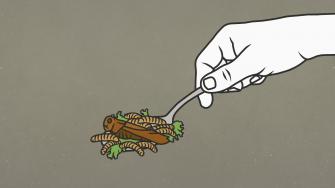 ما هي الحشرات التي يمكنك أن تأكلها؟