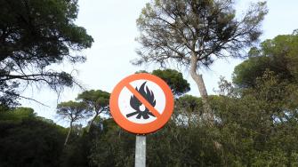 المخاطر الصحية لدخان حرائق الغابات