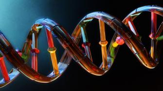 فحص الحمض النووي DNA يبين الحقائق (ملف)