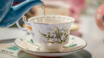 الفوائد الصحية لشاي السنامكي