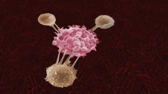 الفرق بين سرطان الخلايا الصغيرة والكبيرة