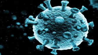 فيروس كورونا الجديد طبيعي ولم يصنع في المعمل
