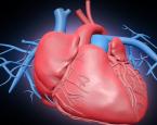 سؤال وجواب عن الذبحة الصدرية والجلطة القلبية