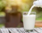 7 فوائد لحليب الأبقار