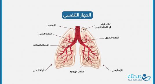العدوى التنفسية في مناطق النزوح الفلسطينية