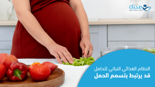 النظام الغذائي للحامل 