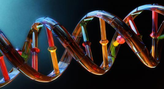 فحص الحمض النووي DNA يبين الحقائق (ملف)