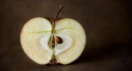 هل شرائح التفاح البنية آمنة للأكل؟