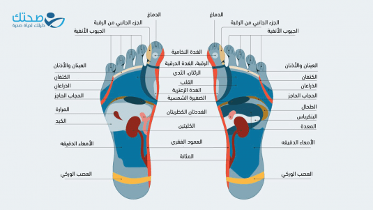طريقة منعكس القدم في العلاج