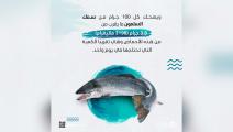 فوائد سمك السلمون في مكافحة تصلب الشرايين